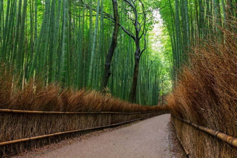 Kyoto/Osaka: Nara, Fushimi Inari Taisha, Arashiyama Bus Tour - What’s the Value?