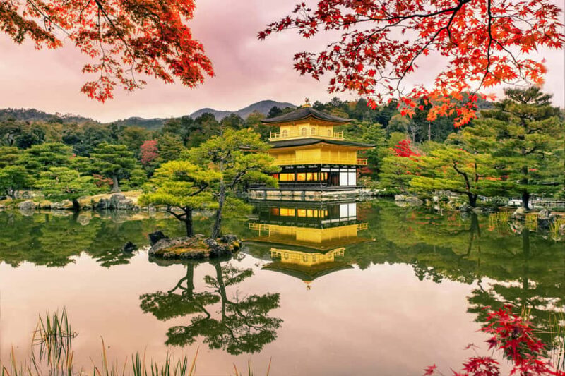 Kyoto/Osaka: Nijo Castle, Arashiyama, Kinkakuji Day Tour - Who Should Book This Tour?