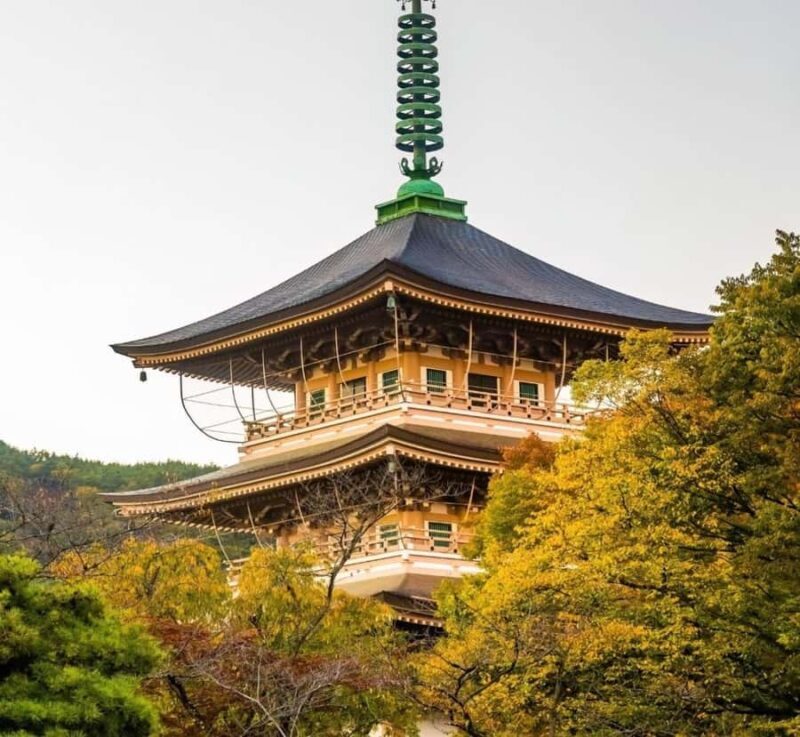 Kyoto/Osaka: Nikko Private Tour with English Driver - Key Points