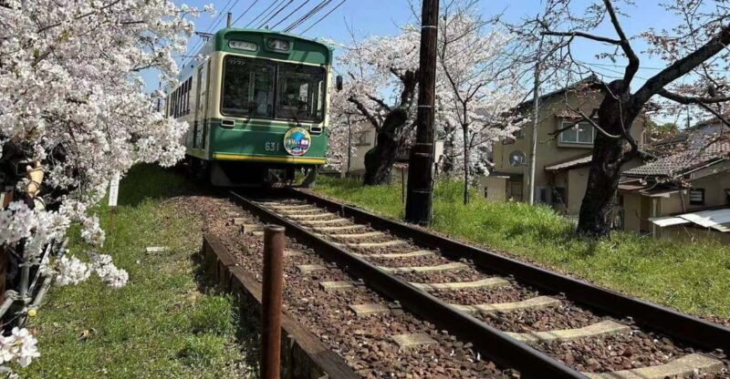 kyoto-osaka-sanzen-in-and-arashiyama-day-trip