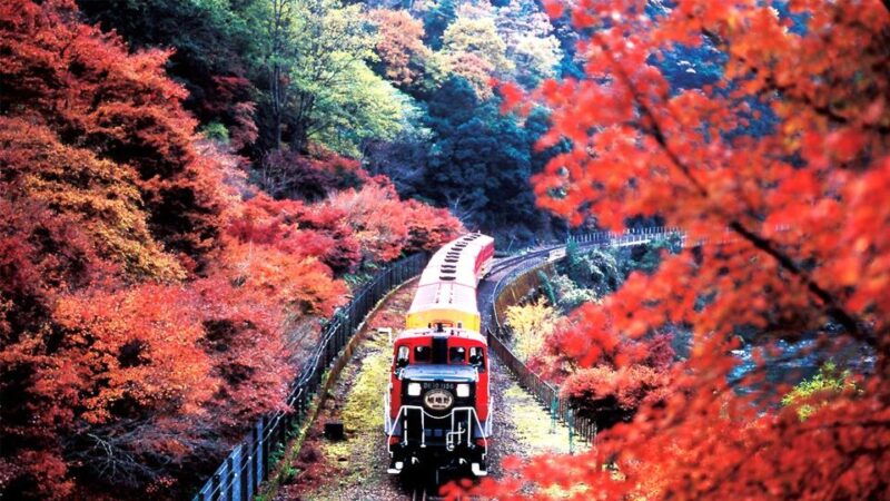 kyoto-osaka-sanzenin-bamboo-forest-arashiyama-day-trip