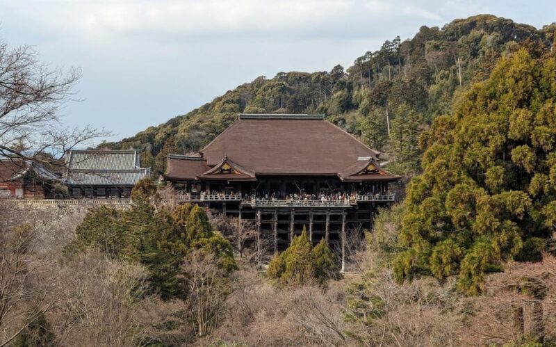 Kyoto: Personalize, private tour (3h, 5h, 8h) [W/Car Option] - The Experience – What Makes It Stand Out?