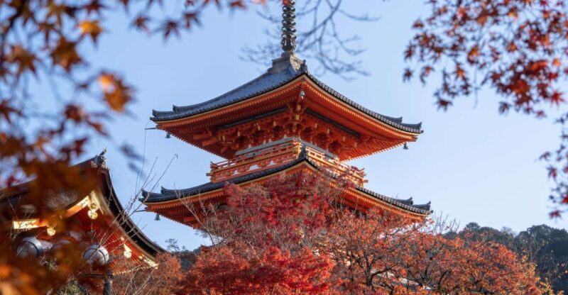 Kyoto: Personalized Guided Private Tour - Exploring Kyoto with a Personalized Touch