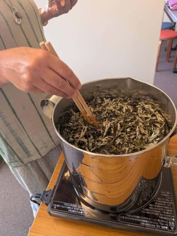 Kyoto: Plant Dyeing Workshop with Lunch - Key Points
