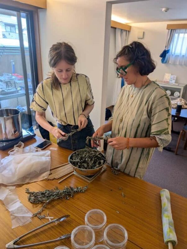 Kyoto: Plant Dyeing Workshop with Lunch - Detailed Review of the Kyoto Plant Dyeing Workshop with Lunch