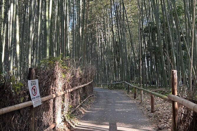 kyoto-popular-tour-learn-japanese-philosophy-from-kyoto