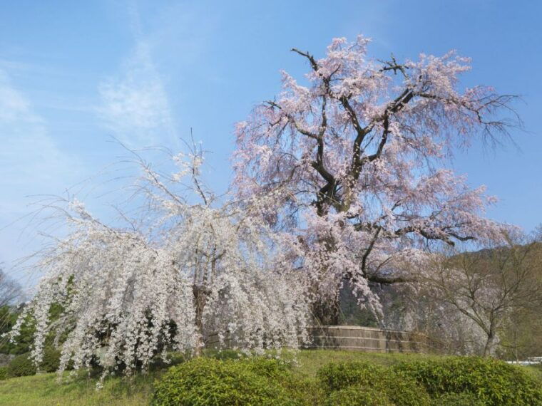 kyoto-private-2-5-hour-historical-walking-tour