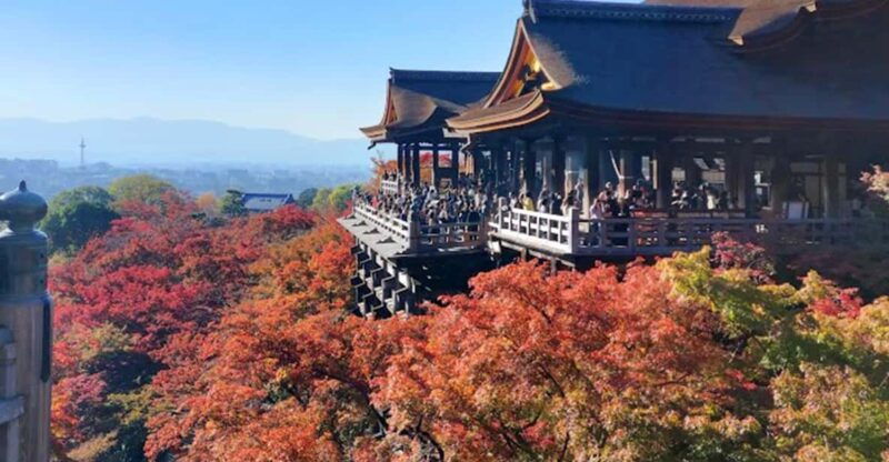 kyoto-private-and-customized-tour-walking-public-transportation