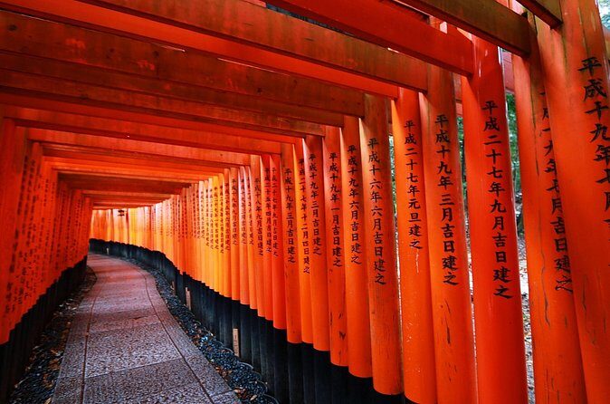 Kyoto Private Car Tour - Authentic Insights from Past Reviews