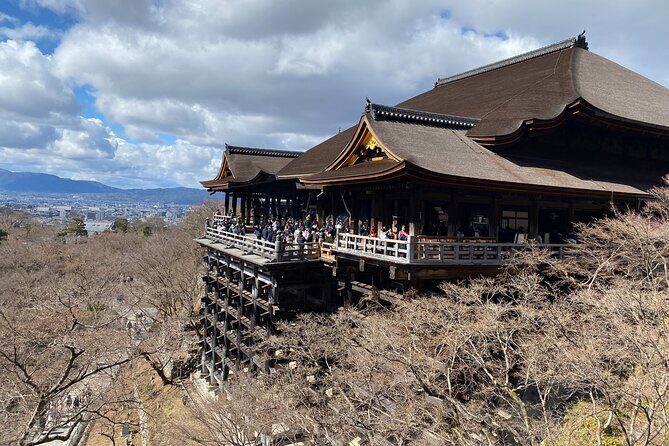 Kyoto Private Car Tour from Osaka to Gion and Fushimi - Analyzing the Value