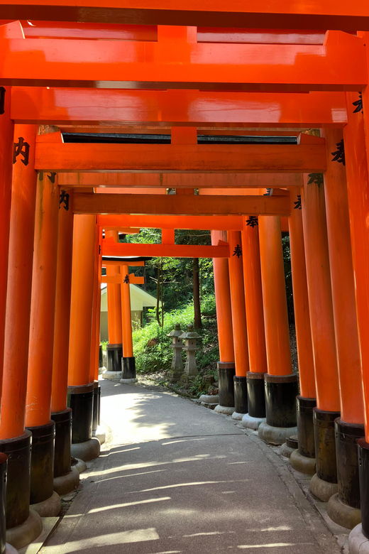 kyoto-private-car-tour-fushimi-inari-bamboo-grove