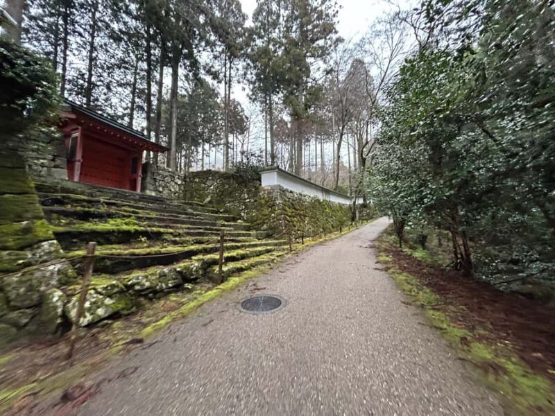 Kyoto: Private Car Tour With a Local Resident Conductor - What the Reviews Say