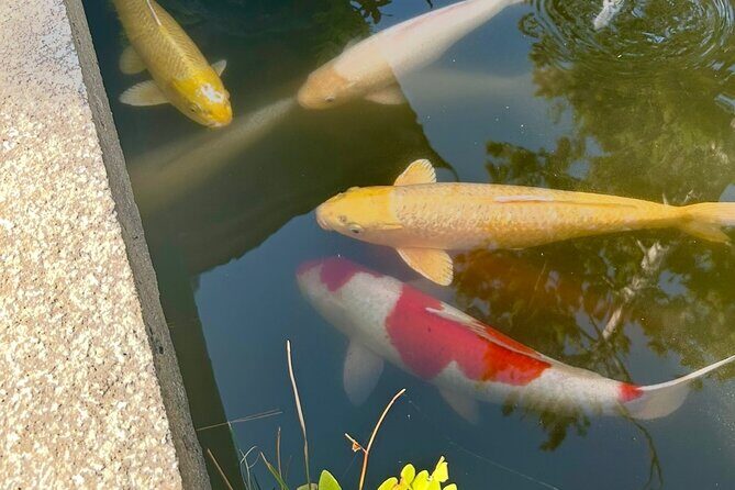 Kyoto Private Car Tour with English Guide Driver (Amanohashidate) - Final Thoughts