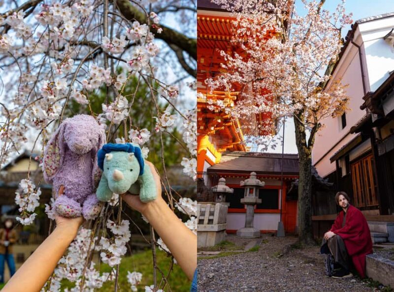 Kyoto: Private Cherry Blossom Photoshoot - Who is This Experience Best For?
