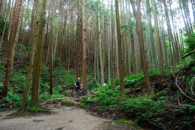 Kyoto: Private Countryside E-Bike Tour with Lunch and Tea - Key Points