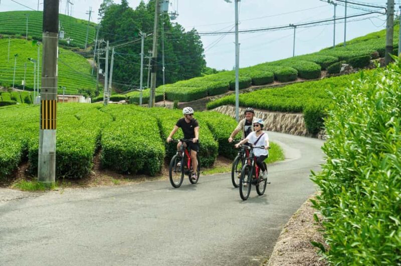 Kyoto: Private Countryside E-Bike Tour with Lunch and Tea - Overview and What to Expect