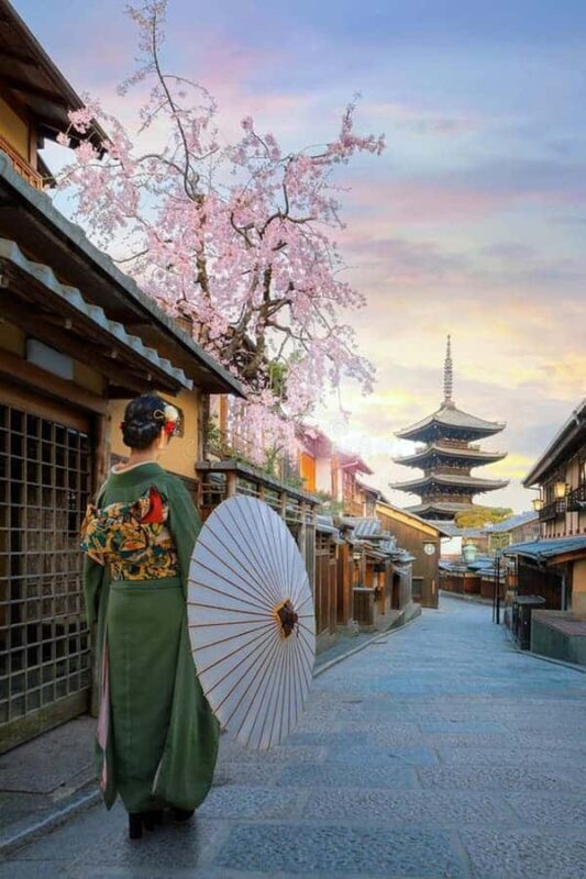 Kyoto: Private Custom Tour with English Guide and Vehicle - Who Is This Tour Best For?