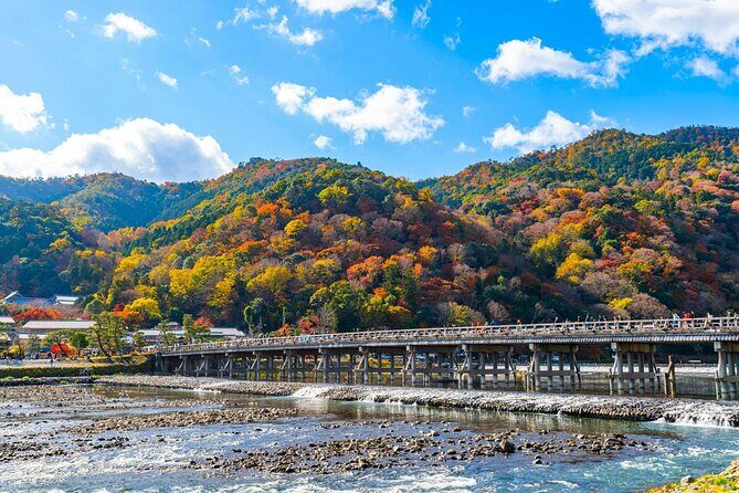 Kyoto Private Custom Tour: World Heritage, Landmarks & Local Life - Practical Tips for Your Tour