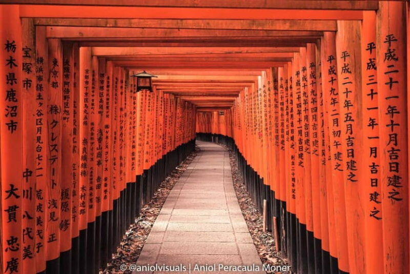 Kyoto: Private Customizable Day Tour with Guide and Vehicle - Why Choose This Tour?