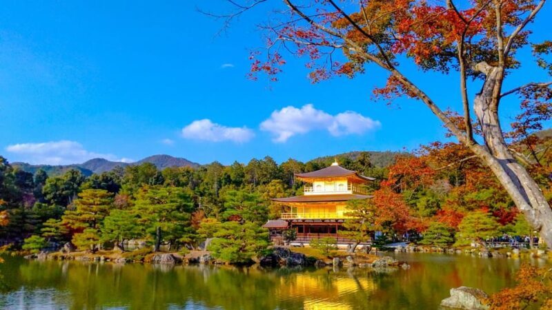 Kyoto: Private Customizable Day Trip by Car - Why Choose This Private Kyoto Day Trip?