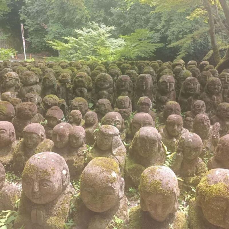 Kyoto: Private Customizable Day Trip - FAQ