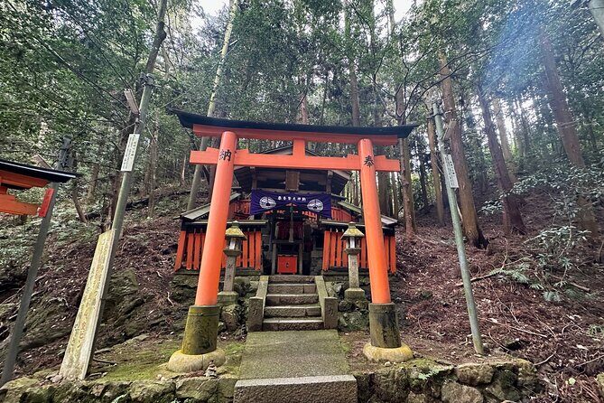 Kyoto Private Customizable Day Trip With English chauffeur - An In-Depth Look at the Kyoto Private Customizable Day Trip