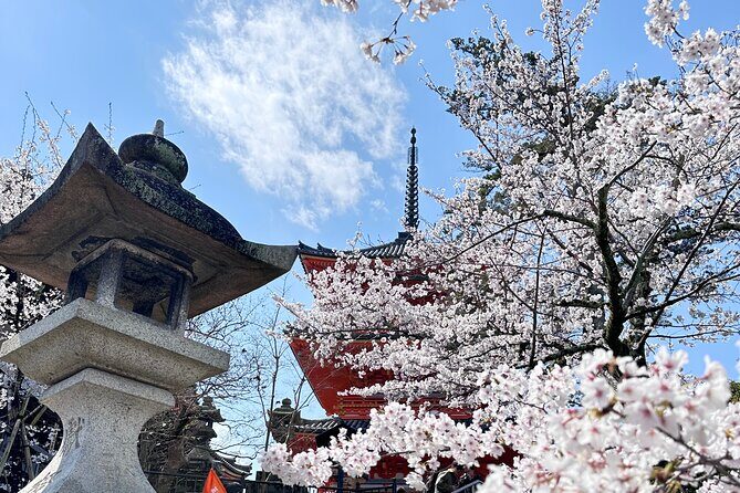 Kyoto Private Customizable Day Trip With English chauffeur - FAQ