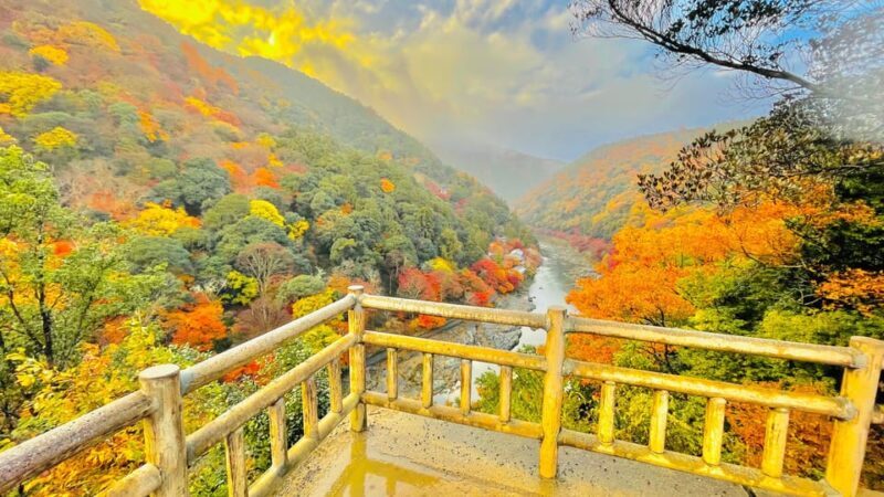 Kyoto: Private Customizable Guided tour with Luxury Vehicle - Pricing and Value