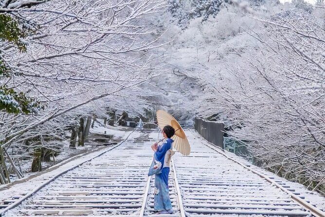 Kyoto Private Customized Day Tour with Guide - Exploring Kyoto in Comfort and Style