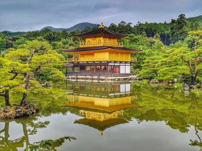 Kyoto: Private Customized Tour with English Speaking Guide - A Deep Dive into the Experience