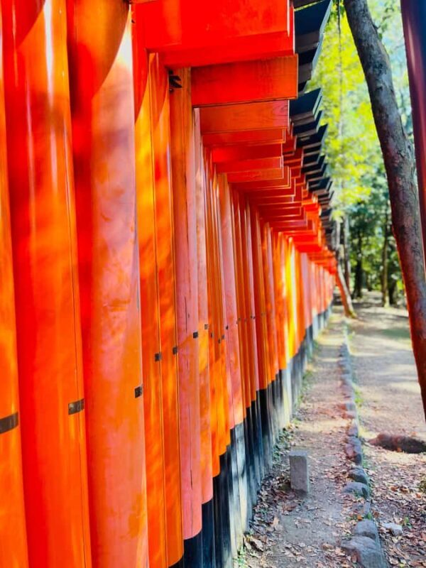 Kyoto: Private Customized Tour with English Speaking Guide - FAQ