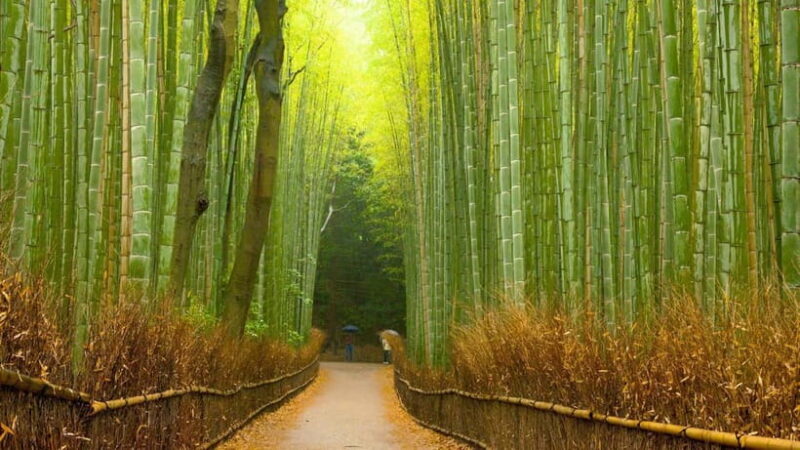 Kyoto: Private Day Tour with English-Speaking Driver - FAQ  