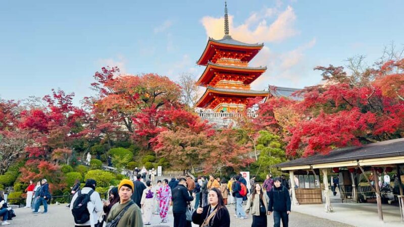 Kyoto Private Day Tour with Luxury Vehicle & English Guide - An In-Depth Look at the Kyoto Private Day Tour