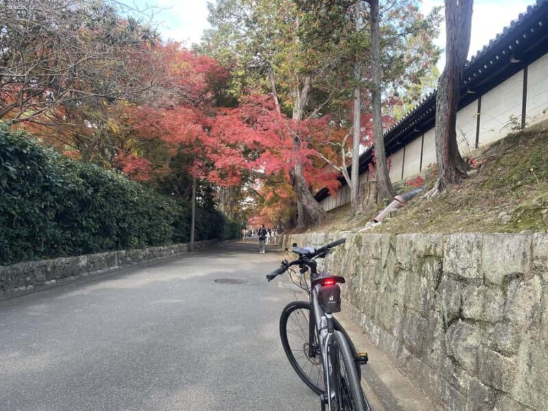 Kyoto: Private E-Bike Tour of Old Kyoto - Authentic Experiences from Reviews