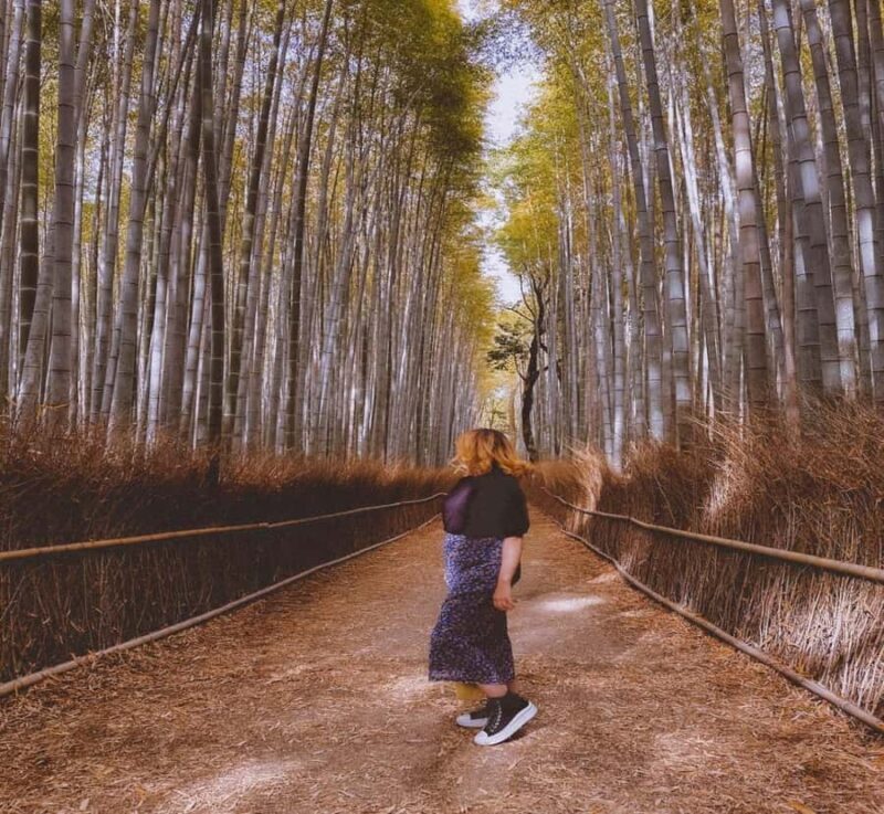 Kyoto Private Full-Day Sightseeing Tour from Nikko - The Experience Breakdown