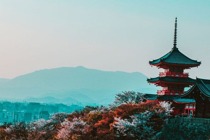 kyoto-private-guided-food-tour-with-a-guide