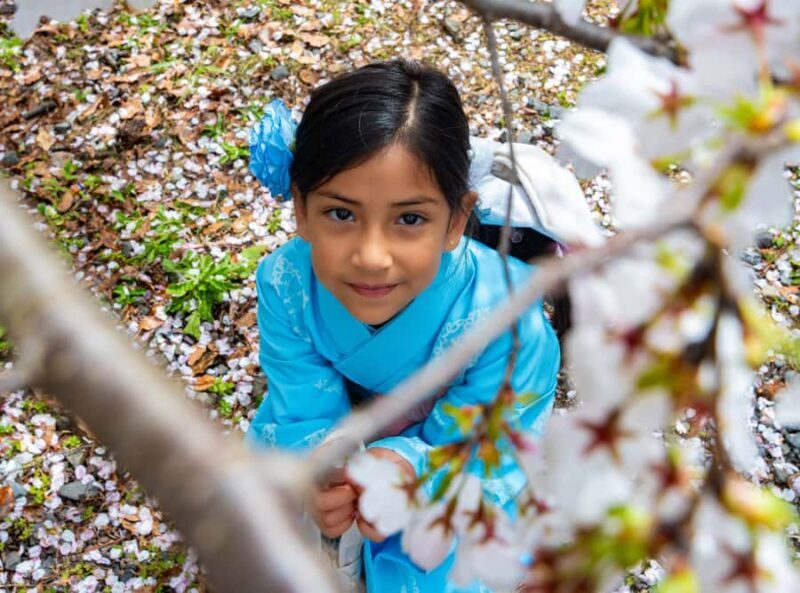 Kyoto: Private Guided Walking Tour of Kyoto with an expert - Why Choose This Tour?