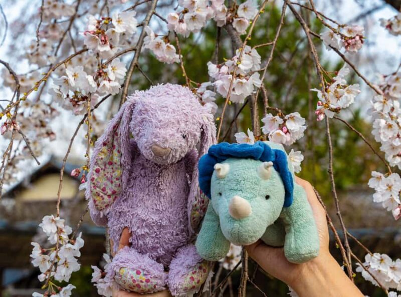 Kyoto: Private Guided Walking Tour of Kyoto with an expert - What Makes This Tour Stand Out?