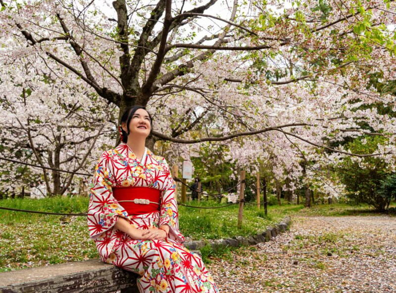 Kyoto: Private Guided Walking Tour of Kyoto with an expert - Analyzing the Value