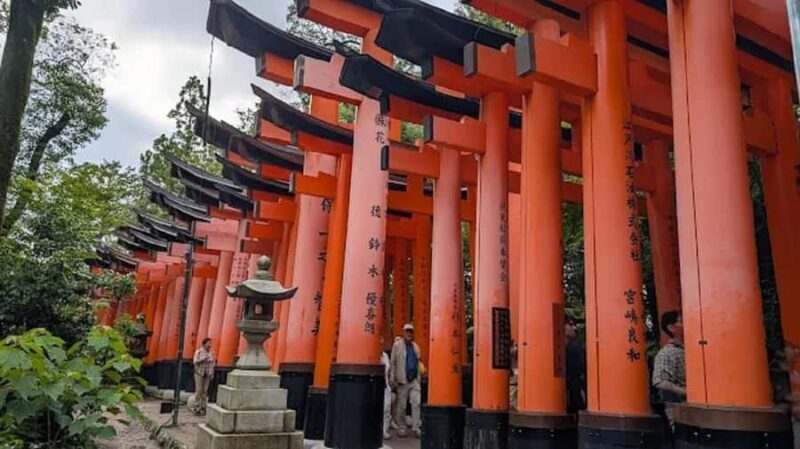 Kyoto: Private Half-Day Tour with Fushimi Inari Taisha - Authentic Insights from Reviewers