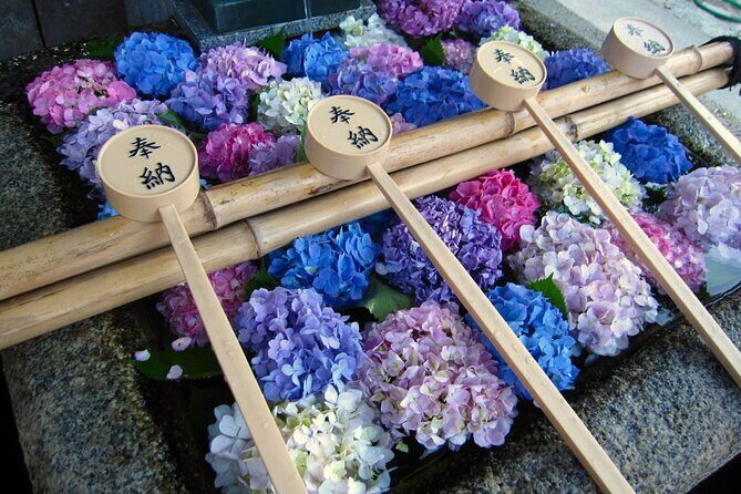 Kyoto Private Hydrangea Tour by Car and Rail - Key Points