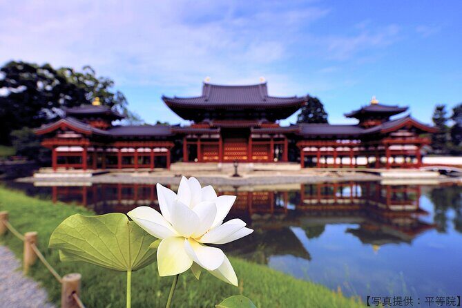 Kyoto Private Hydrangea Tour by Car and Rail - A Detailed Look at the Kyoto Private Hydrangea Tour