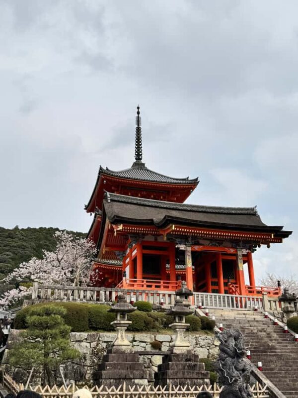 Kyoto: Private Kyoto and Nara Customizable Day Tour - Key Points