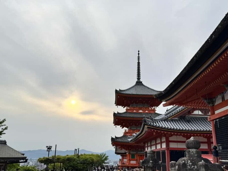 Kyoto: Private Kyoto and Nara Customizable Day Tour - An In-Depth Look into the Tour Experience