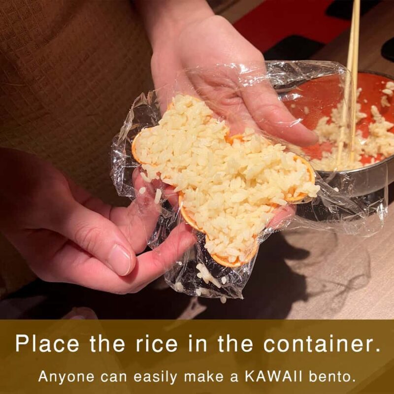 Kyoto: Private Morning Kawaii Bento & Picnic in Gion - Kyoto: Private Morning Kawaii Bento & Picnic in Gion – A Peaceful Cultural Escape