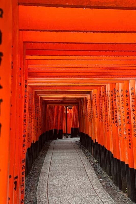 Kyoto Private Tour from Tokyo by Bullet Train | One-Way - Discover Kyoto in a Day: Private Tour from Tokyo by Bullet Train