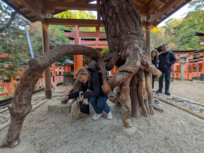 Kyoto Private Tour  Licensed Guide & Car from Osaka/Kyoto - Key Points
