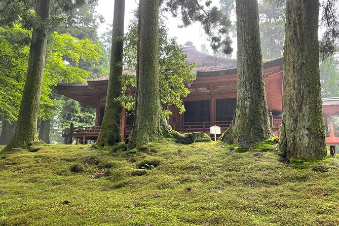 kyoto-private-tour-of-world-heritage-enryakuji-and-monks-town