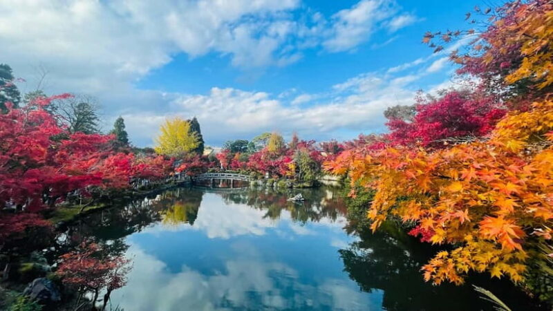 Kyoto Private Tour with English Guide & Pickup (Osaka-Kyoto) - The Sum Up