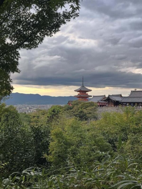 Kyoto: Private Tour with Nara included and English Driver - Key Points